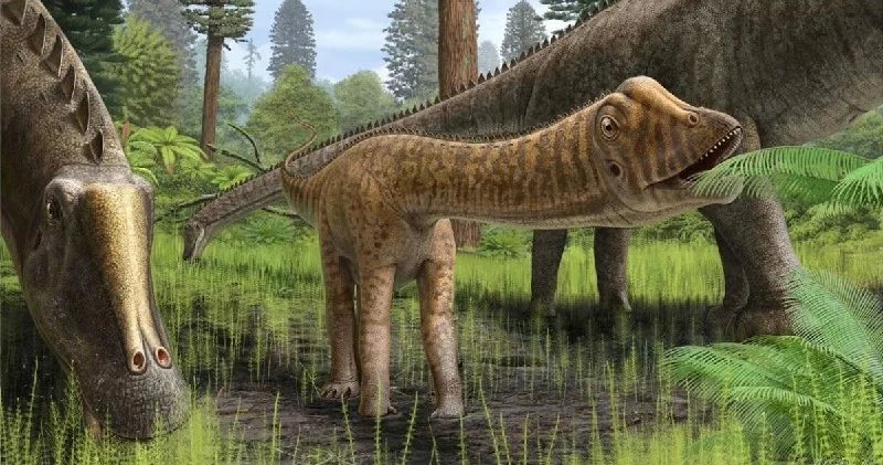 Elm aləmində sensasiya: İspaniyada ilk dəfə tam qorunub saxlanılmış dinozavr tapıldı