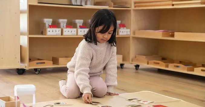 Montessori metodu: sərbəst öyrənmə, yoxsa özbaşına təhsil?