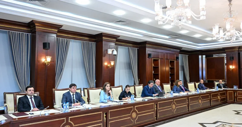 Rəsmi səfər məqsədi ilə verilən giriş vizasının şamil olunduğu şəxslərin siyahısı dəqiqləşdirilir