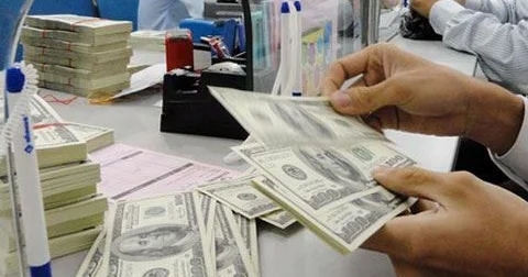 Fiziki şəxslər 6 ayda Azərbaycandan xaricə 208 milyon dollar köçürüb