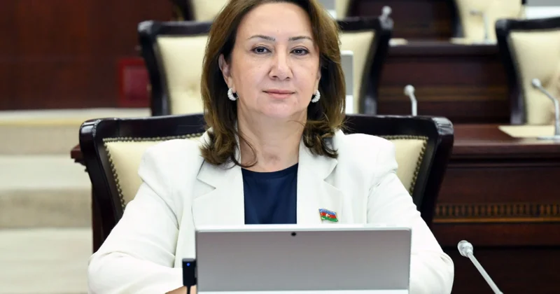 Azərbaycanın suverenliyinə hörmət beynəlxalq münasibətlərin təməl prinsipidir ŞƏRH