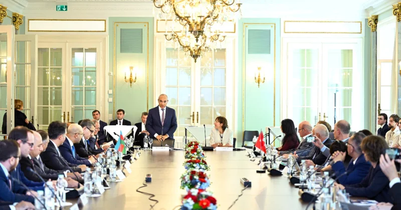 Nazir: Azərbaycanın yaşıl enerji potensialı İsveçrə şirkətləri üçün yeni əməkdaşlıq imkanları yaradır