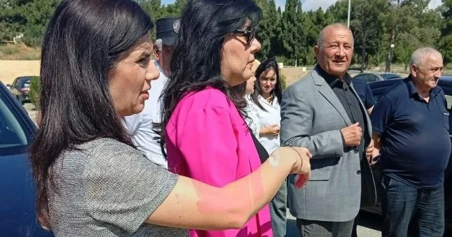 Gəncədə yaşıl müzakirələr
