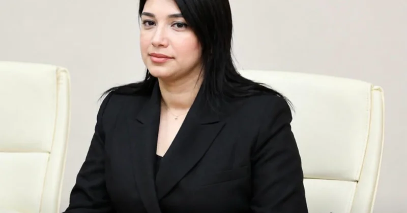 İctimai Şuranın üzvü: Yeni Dövlət Proqramı qida təhlükəsizliyi sisteminin daha da güclənməsini təmin edəcək