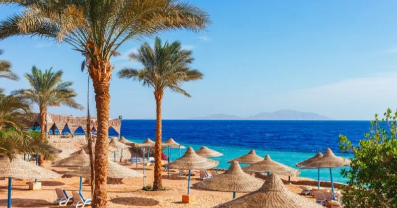 Bu ilin ilk 9 ayında Misirə təxminən 15 milyon turist gəlib