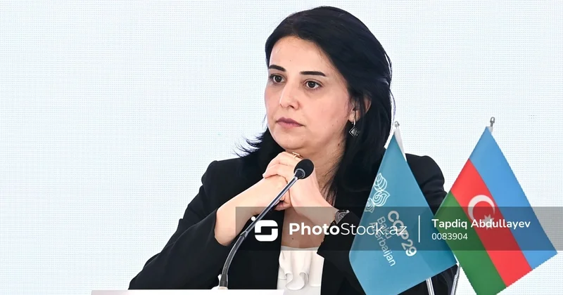 Azadə Hüseynova: Sağlamlıq turizmi kompleks və sistemli yanaşma tələb edir