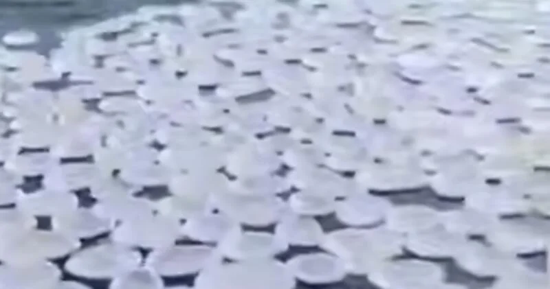 На одной из рек России появились сотни ледяных кругов ВИДЕО