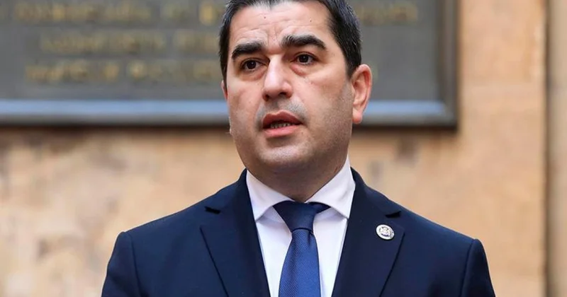 Spiker: ATƏT sədri Gürcüstan qanunvericiliyini pozub