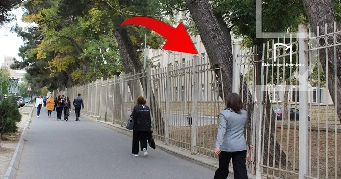 В центре Баку дерево может упасть на прохожих: жители бьют тревогу