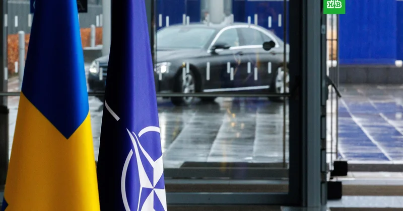 “NATO bu ölkələrə təzyiq göstərir” Çünki…