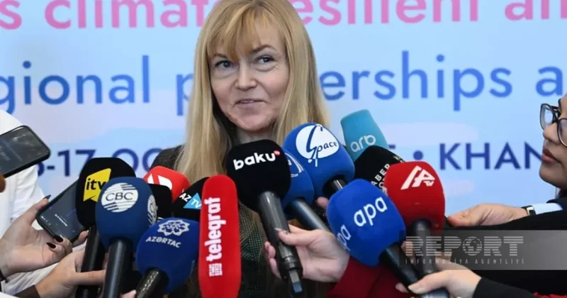 Зелинска о восстановлении Карабаха: Высокая организация и уважительное отношение к сохраненным ресурсам
