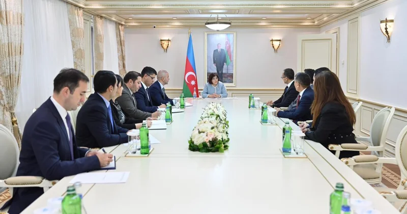 Sahibə Qafarova Ramil Həsəni qəbul etdi