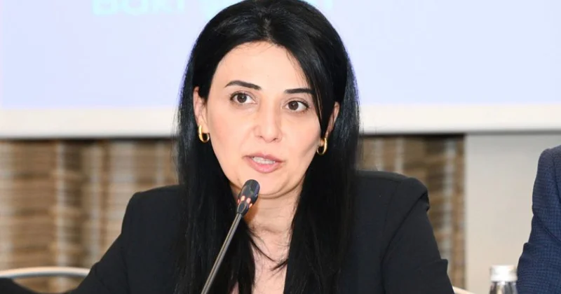 Dövlət Turizm Agentliyi sağlamlıq turizminin inkişafı istiqamətində bir sıra vacib layihələri həyata keçirib