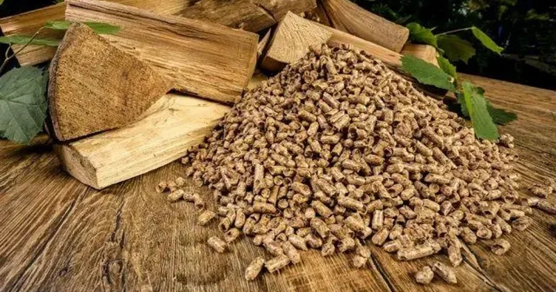 Elm və Təhsil Nazirliyi 4 milyon manata ağac peleti alacaq