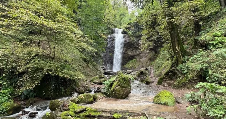“Azərbaycan Jurnalistlər Şəbəkəsi” İctimai Birliyi turizmin inkişafına yönəlmiş yeni layihəyə start verdi