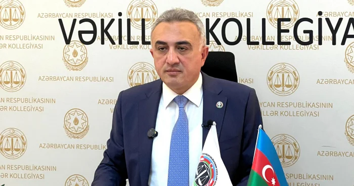 Anar Bağırov beynəlxalq konfransda videoformatda çıxış edib