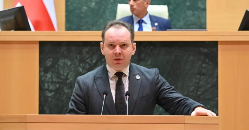 Maliyyə və iqtisadi cinayətlərdə təqsirli bilinən şəxslərə Gürcüstanı tərk etmək qadağan ediləcək