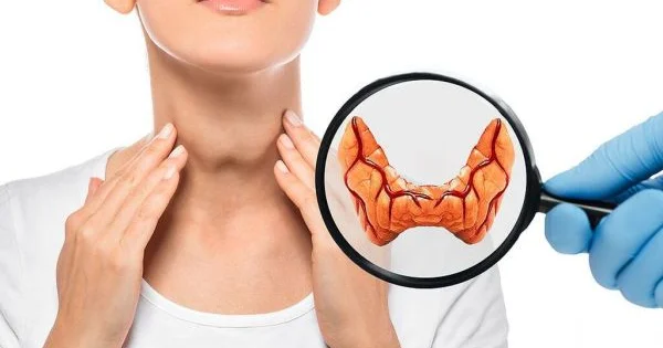 Zob xəstəliyi zamanı hansı qidaları yemək lazımdır?