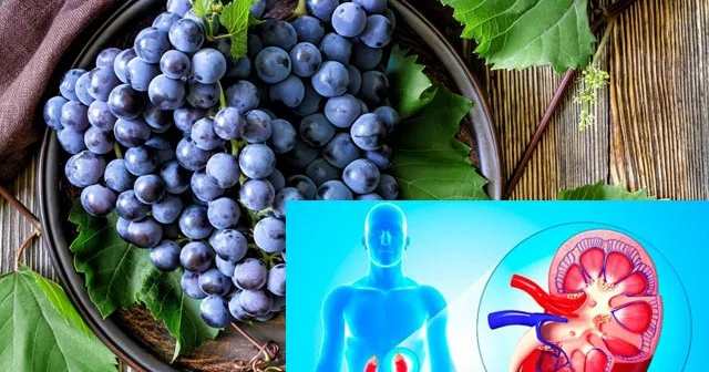 Üzüm bu xəstəlikləri müalicə edir. 10 inanılmaz faydası
