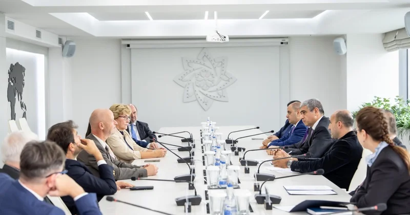 Beynəlxalq və xarici ölkələrin milli paralimpiya komitələrinin nümayəndə heyəti ilə görüş olub