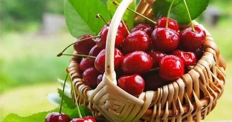 Təbii sakitləşdirici albalı… Heç bilinməyən faydaları