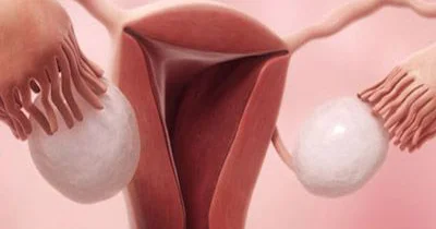 Menstruasiya barədə düzgün məlumat Qadınlar diqqət etsin!