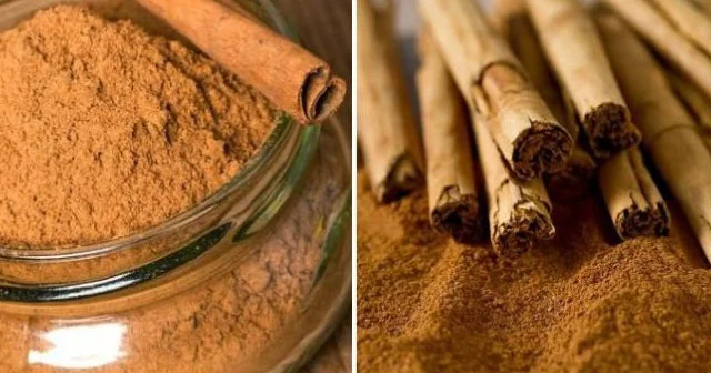 Təbii darçını saxtadan necə ayırmaq olar? FOTO