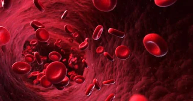 Qanı təmizləmək və cavanlaşdırmaq üçün XALQ TƏBABƏTİ VASİTƏLƏRİ