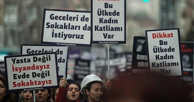 Öz ölkəsində qadınların hüquqlarını qorumayanlar Azərbaycana dərs keçir