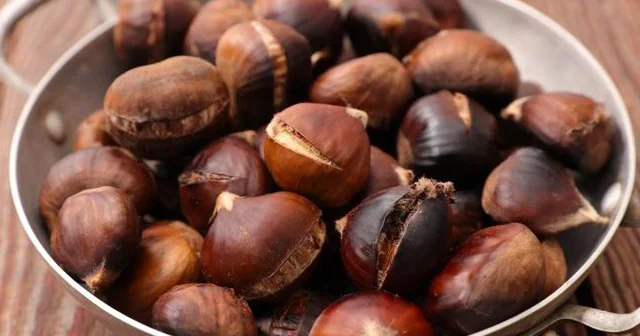 Şabalıdın sağlamlığa faydaları və ziyanları