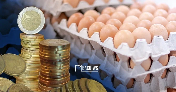 Kənd yumurtası BAHALAŞIB Qiymət artımının səbəbləri açıqlandı