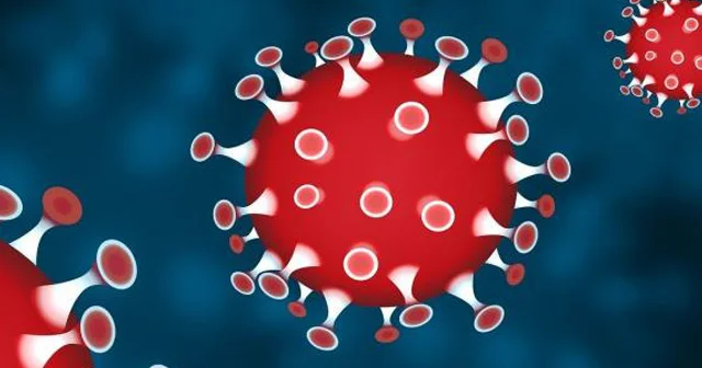 Bizi öldürən infeksiyalar. Koronavirus bunların yanıda toya getməlidir
