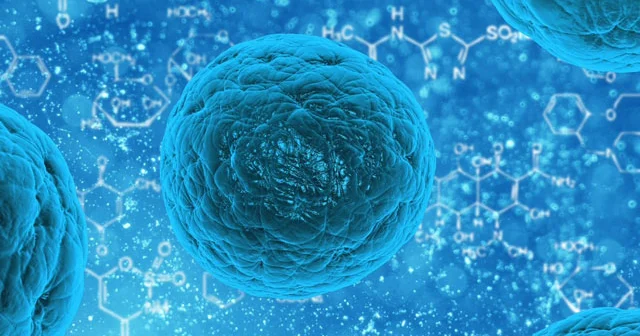 Ən yayılmış qadın xərçəngi: simptomlar, müalicə, profilaktika
