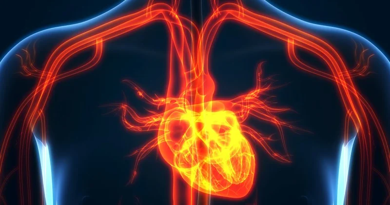 Mitral qapaq çatışmazlığı: Hacı Şahinin əziyyət çəkdiyi xəstəlik ARAŞDIRMA