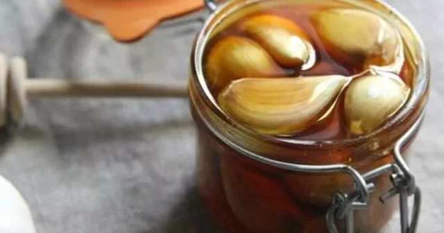 Sarımsaq, bal və sirkə qarışığı güclü təbii dərman. RESEPT