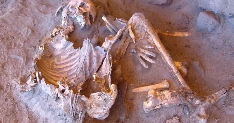 7 min illik insan skeleti tapıldı