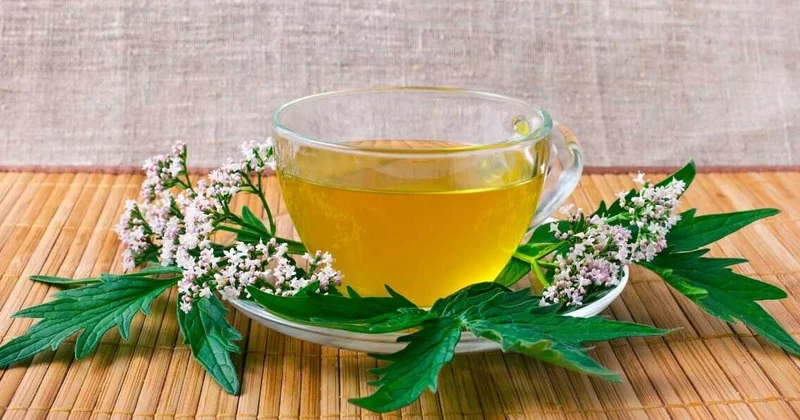 Əsəbilik, yuxusuzluq və narahatlığı aradan qaldıran Təbii vasitə