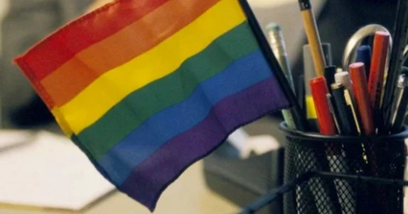 LGBT ilə bağlı qadağaların detalları açıqlandı