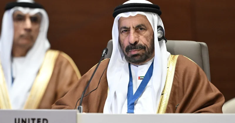 BƏƏ nin dövlət naziri: Sülhün təmin olunması üçün birgə çağırışların öhdəsindən gəlməliyik