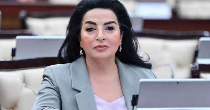 Davamlı sülh və təhlükəsizlik beynəlxalq hüququn norma və prinsiplərinə, ərazi bütövlüyünə hörmət əsasında təmin olunmalıdır Millət vəkili
