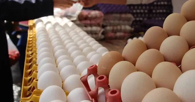 Azərbaycan bu ölkələrə milyonlarla yumurta satır SİYAHI