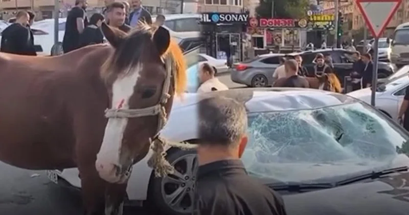 Bakıda maşın atla toqquşdu At sahibi saxlanıldı Video Yenilənib