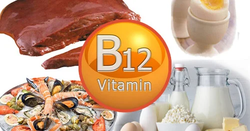 B12 qanazlığı əleyhinə vitamin