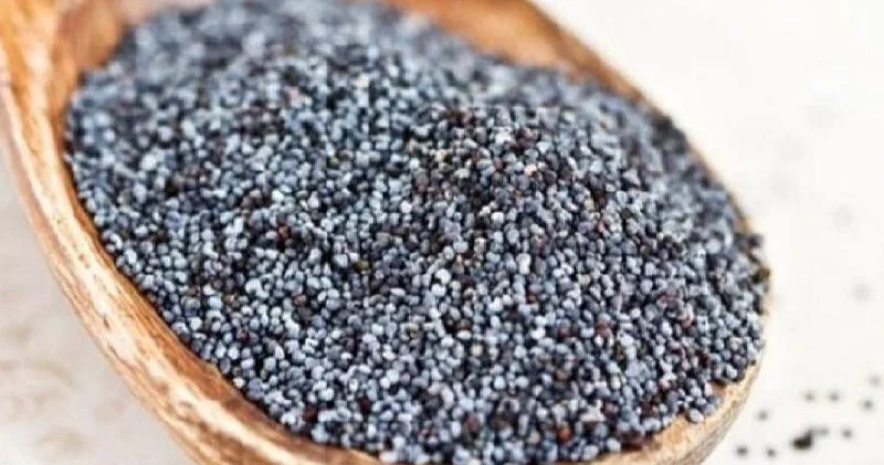 Tərkibində kalsium olan məhsullar Vegetarianlar üçün