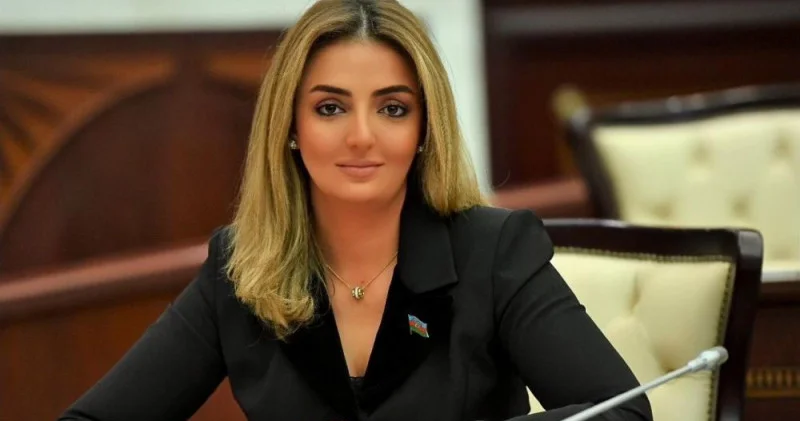 Azərbaycan və Laosun mina probelmi ilə mübarizədə təcrübə mübadiləsi üçün imkanlar yaranıb