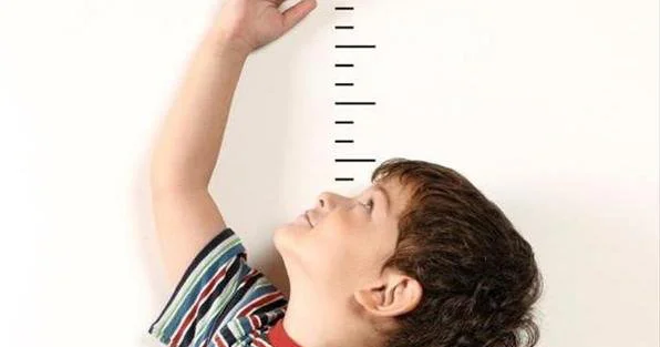 Gələcəkdə övladınızın boyu neçə olacaq? BU CÜR HESABLAYIN