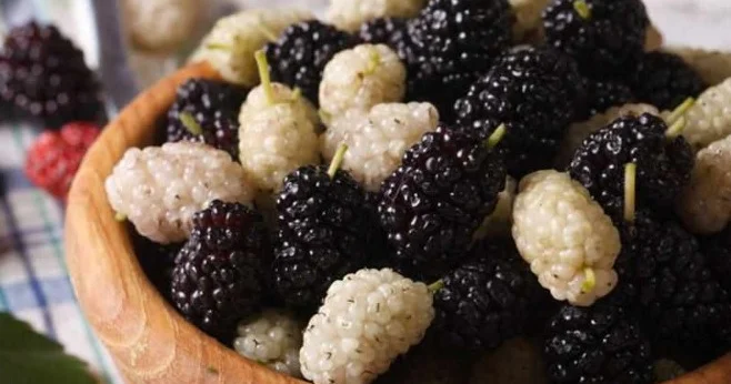 Tərkibində yumurtadan daha çox protein olan giləmeyvə