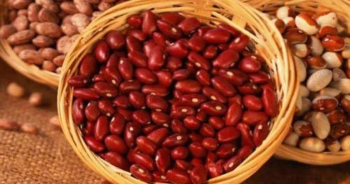 Şişkinliyi azaldır, arterial təzyiqi tənzimləyir Qırmızı lobyanın FAYDALARI