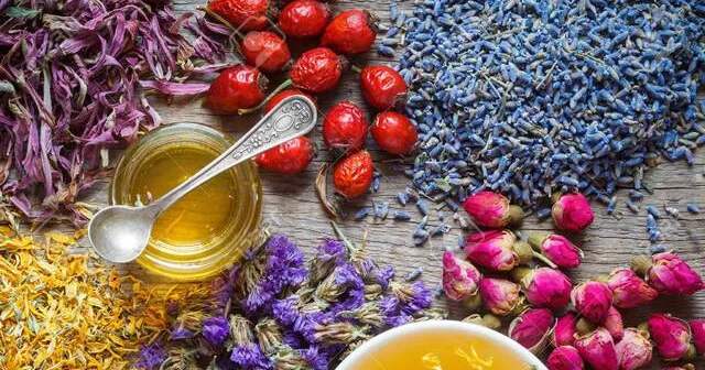 5 bitki ilə dərdlərə şəfa Xəstəlik və ağrıları yox edir