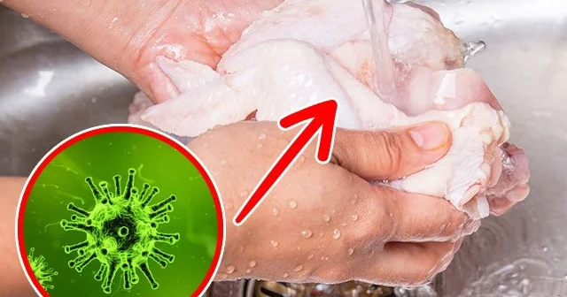 Bişirdikdən əvvəl əti və toyuğu yumaq lazımdırmı?